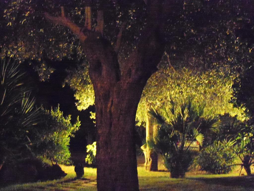 Ferienwohnung Gli Ulivi Alghero Zimmer foto