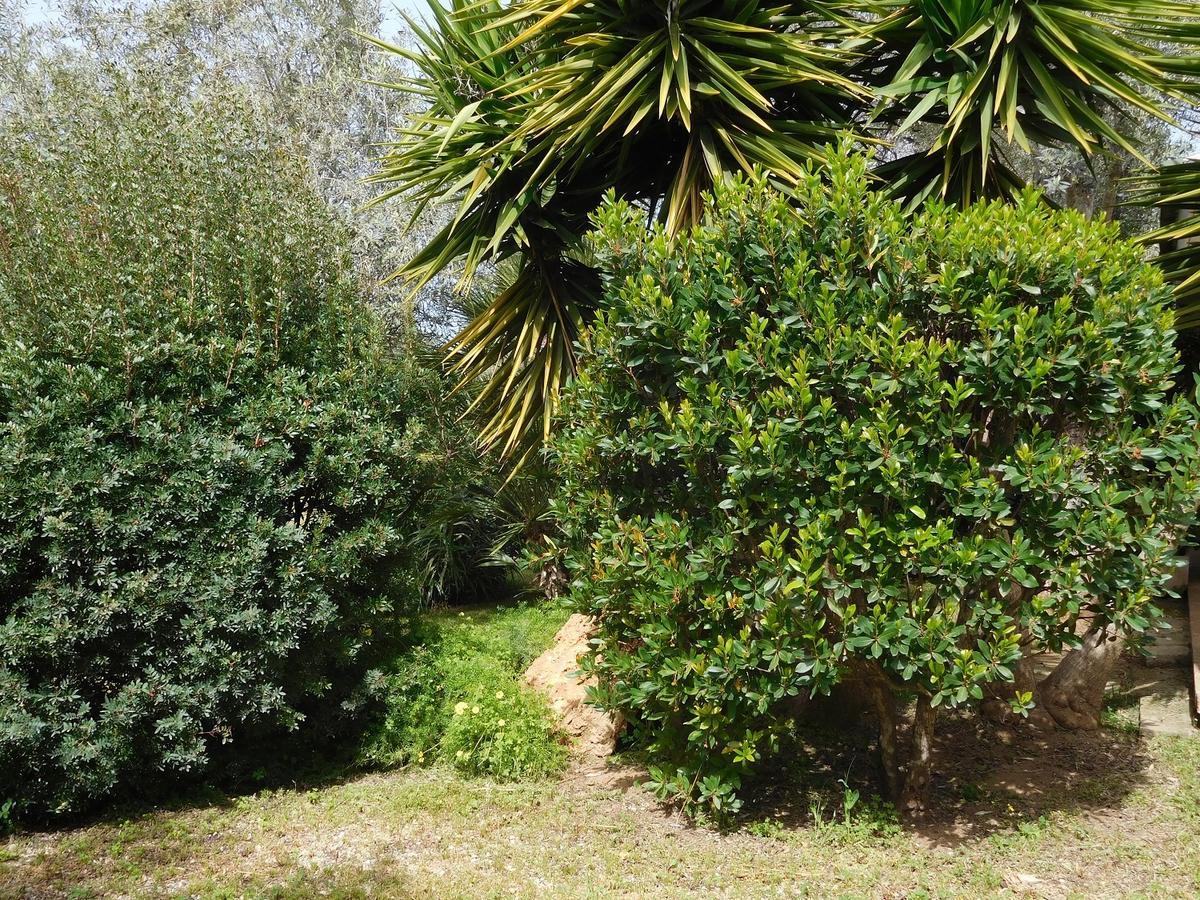 Ferienwohnung Gli Ulivi Alghero Exterior foto